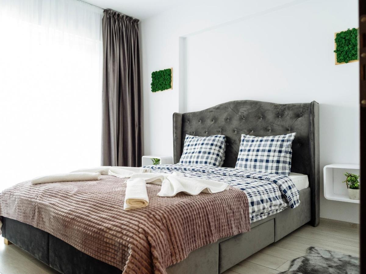 Cozy Special Pallady Apartament With Garden & Courtyard 布加勒斯特 外观 照片